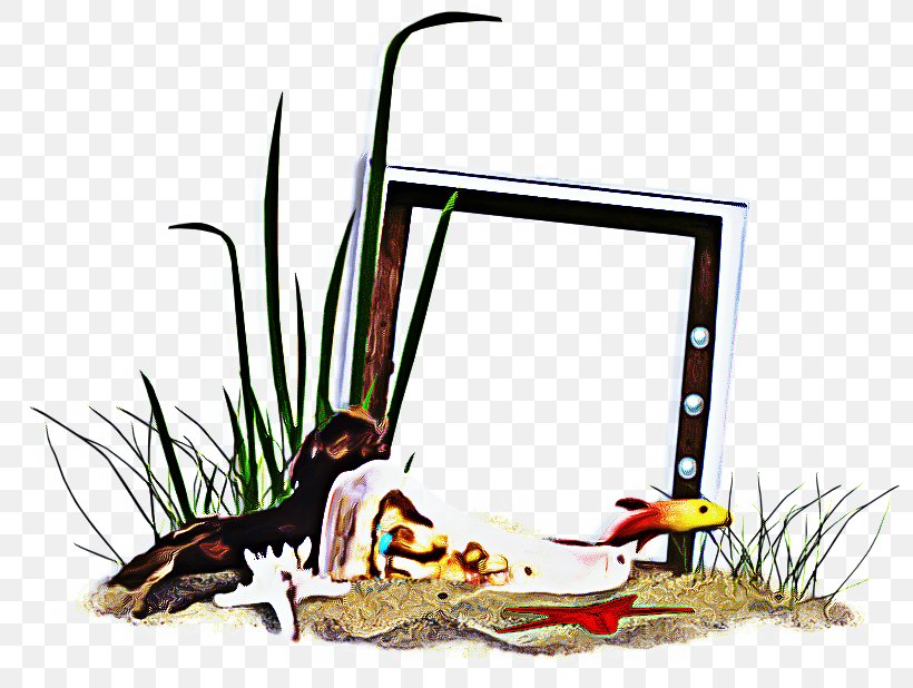 Grass Background, PNG, 800x618px, Beak, Bird, Fauna, Grass, Grasses Download Free