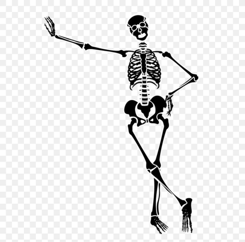 Human Skeleton Skeleton At The 2018 Winter Olympics, PNG, 640x808px, Skeleton, Art, Black And White, Bone, Drawing Download Free