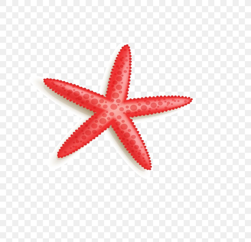 Starfish, PNG, 766x792px, Starfish, Echinoderm, Invertebrate, Marine Invertebrates, Orange Download Free