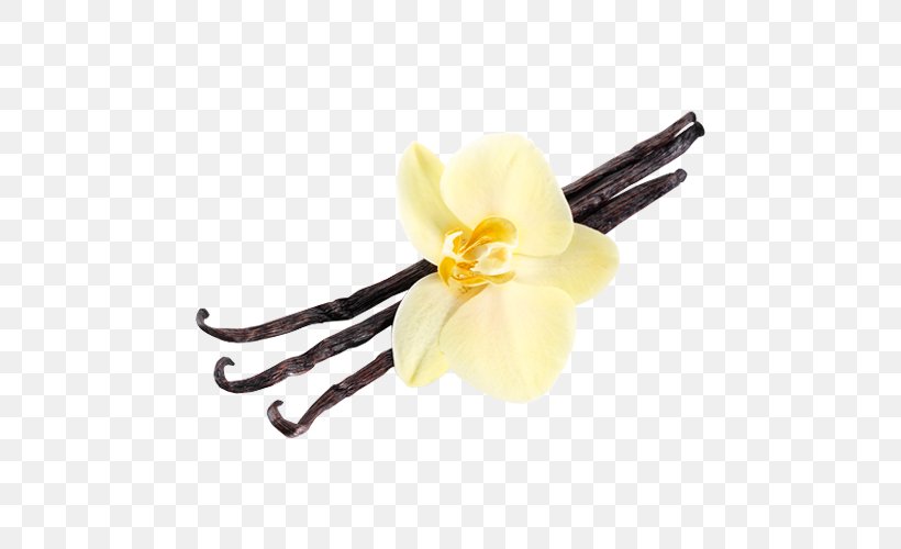 Vanilla Extract Flavored Milk OliveNation, PNG, 500x500px, Vanilla, Beige, Cake, Dessert, Extract Download Free