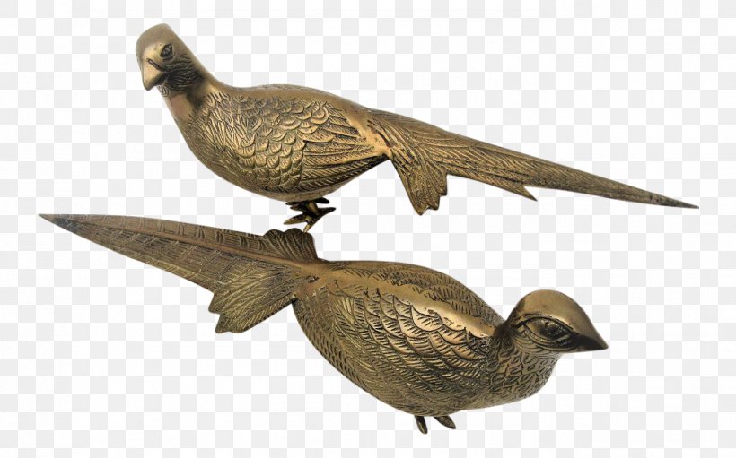 Bird Feather Peafowl Goose Beak, PNG, 1378x860px, Bird, Asiatic Peafowl, Beak, Brass, Ducks Geese And Swans Download Free
