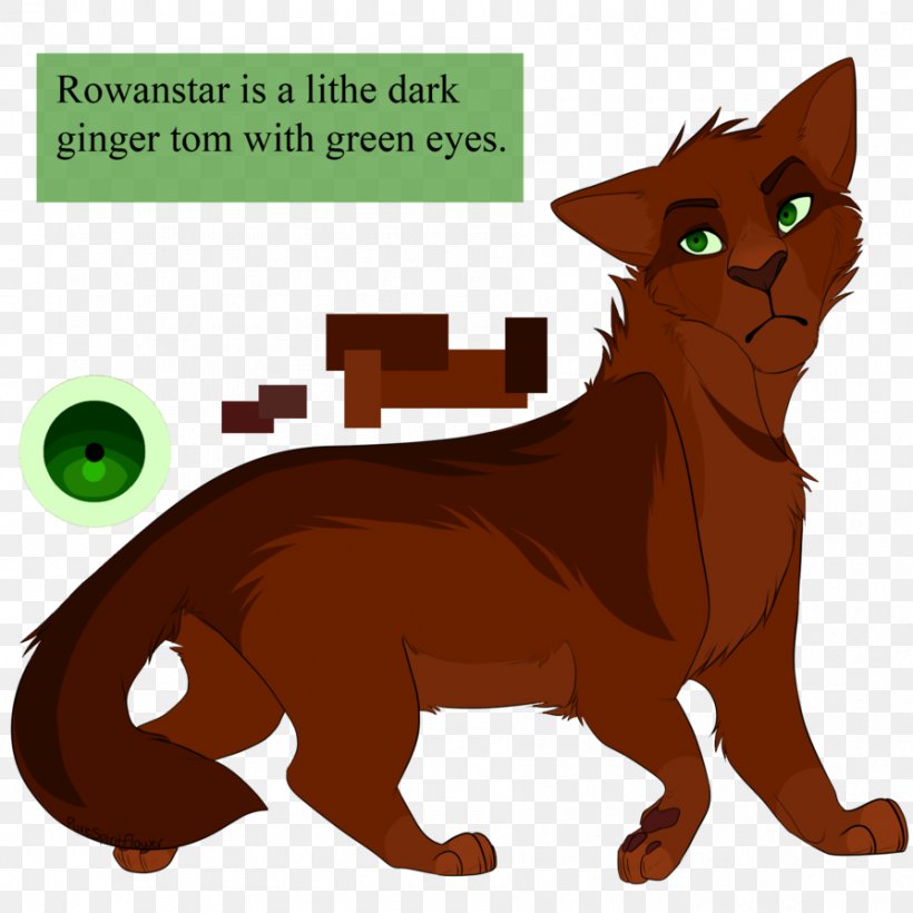 Cat Warriors Erin Hunter Crookedstar Dovewing, PNG, 894x894px, Cat, Carnivoran, Cat Like Mammal, Crookedstar, Deviantart Download Free