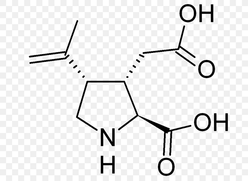 Kainic Acid Structure–activity Relationship Pharmaceutical Drug Chemical Compound, PNG, 698x599px, Kainic Acid, Acetylcysteine, Acid, Acid Salt, Area Download Free