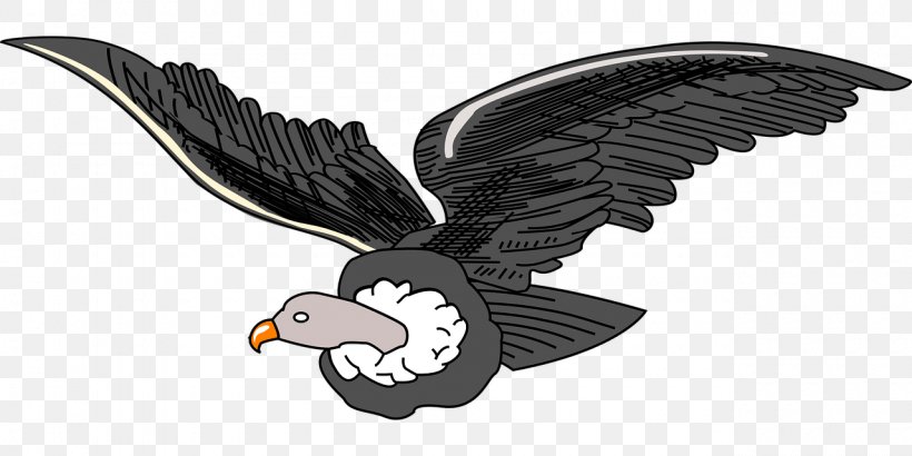 Andean Condor Andes Clip Art, PNG, 1280x640px, Condor, Accipitriformes, Andean Condor, Andes, Beak Download Free