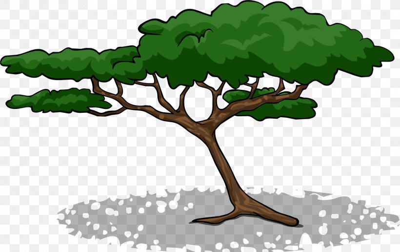 Branch Acacia Tree Clip Art, PNG, 2270x1430px, Branch, Acacia, Grass, Leaf, Organism Download Free