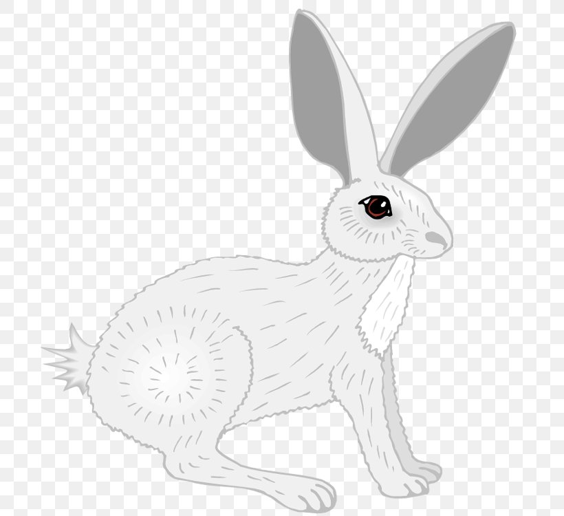 Domestic Rabbit White Rabbit Hare Line Art, PNG, 702x750px, Domestic Rabbit, Adult, Black And White, Coloring Book, Fauna Download Free
