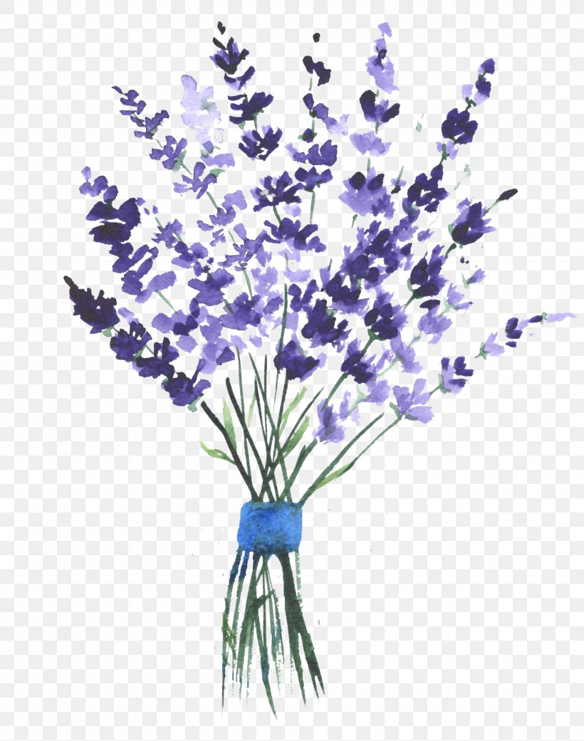 English Lavender Watercolor Painting Clip Art Image Drawing, PNG ...
