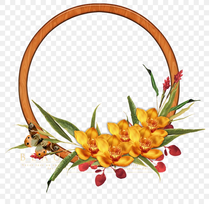 Flower Clip Art, PNG, 800x800px, Flower, Branch, Digital Photo Frame, Floral Design, Flower Arranging Download Free