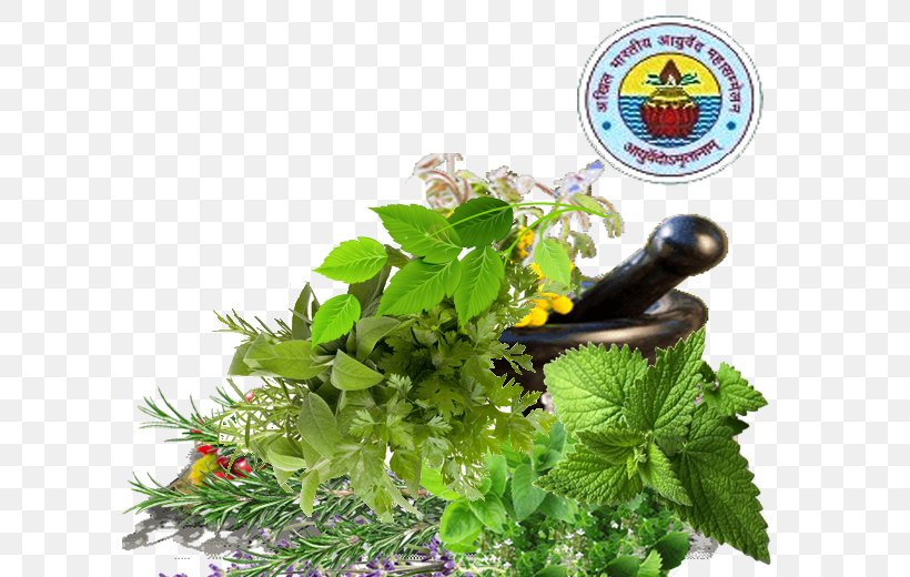 Herbalism Ayurveda Fines Herbes Pianta Aromatica, PNG, 600x520px, Herb, Ayurveda, Fertilisers, Fines Herbes, Grass Download Free
