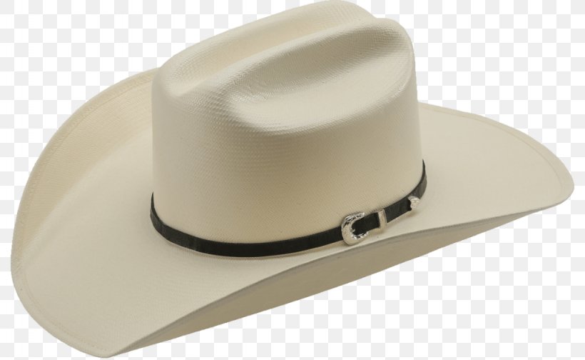 Straw Hat Service Economy, PNG, 1024x630px, Hat, Alternative Energy, Color, Company, Customer Download Free