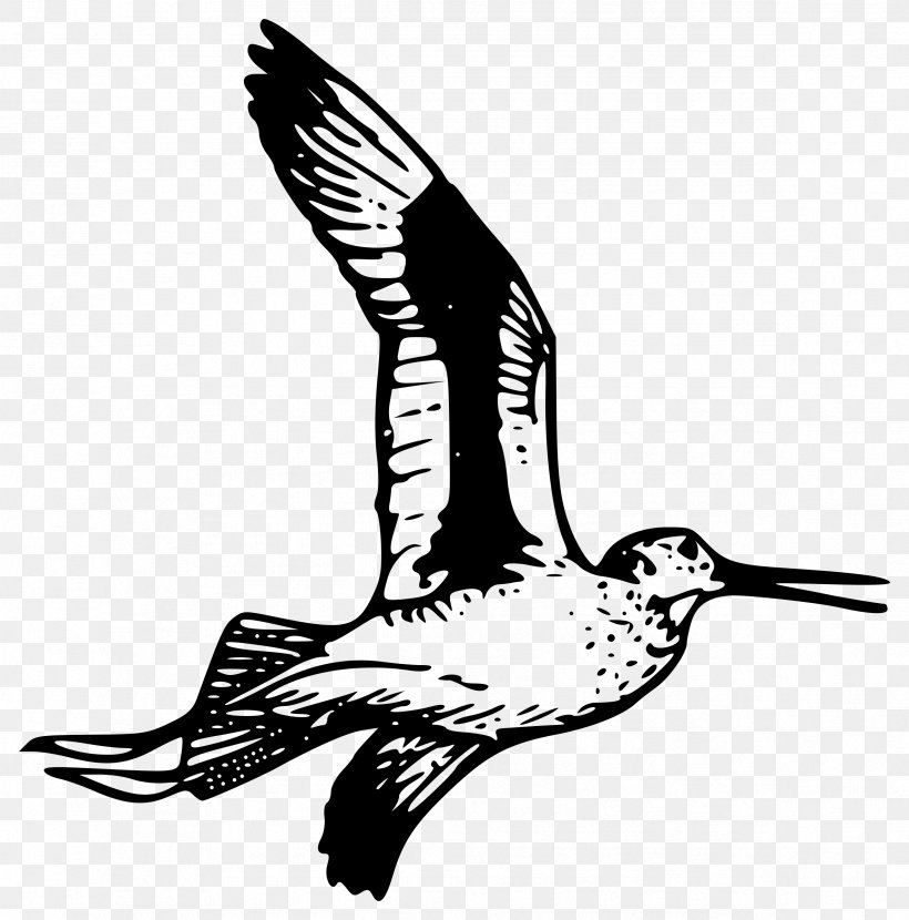 Bird Drawing Clip Art, PNG, 2371x2400px, Bird, Beak, Bird Flight, Black And White, Drawing Download Free