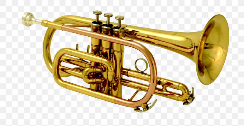 Cornet Musical Instruments Brass Instruments Trumpet Baritone Horn, PNG,  1000x517px, Watercolor, Cartoon, Flower, Frame, Heart Download