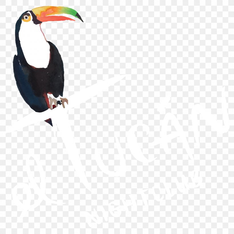 El Tucán Toucan Mr | Hospitality Nightclub Restaurant, PNG, 1920x1920px, Toucan, Beak, Bird, Bottle Service, Brickell Download Free