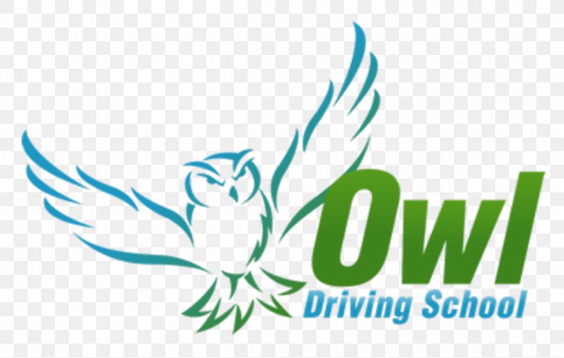 Car Driving Driver's Education Driver's License School, PNG, 1200x763px, Car, Area, Artwork, Brand, Driving Download Free