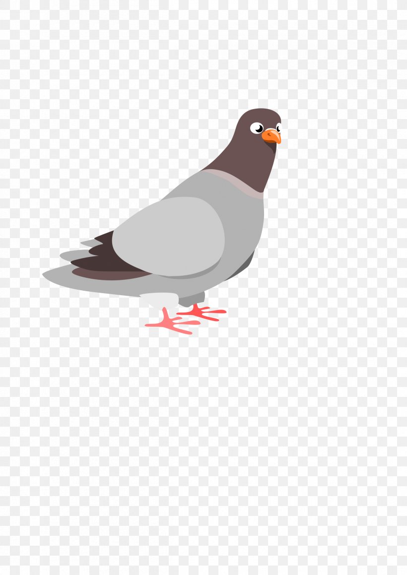 Columbidae Domestic Pigeon Squab Clip Art, PNG, 2400x3394px, Columbidae, Beak, Bird, Cartoon, Domestic Pigeon Download Free