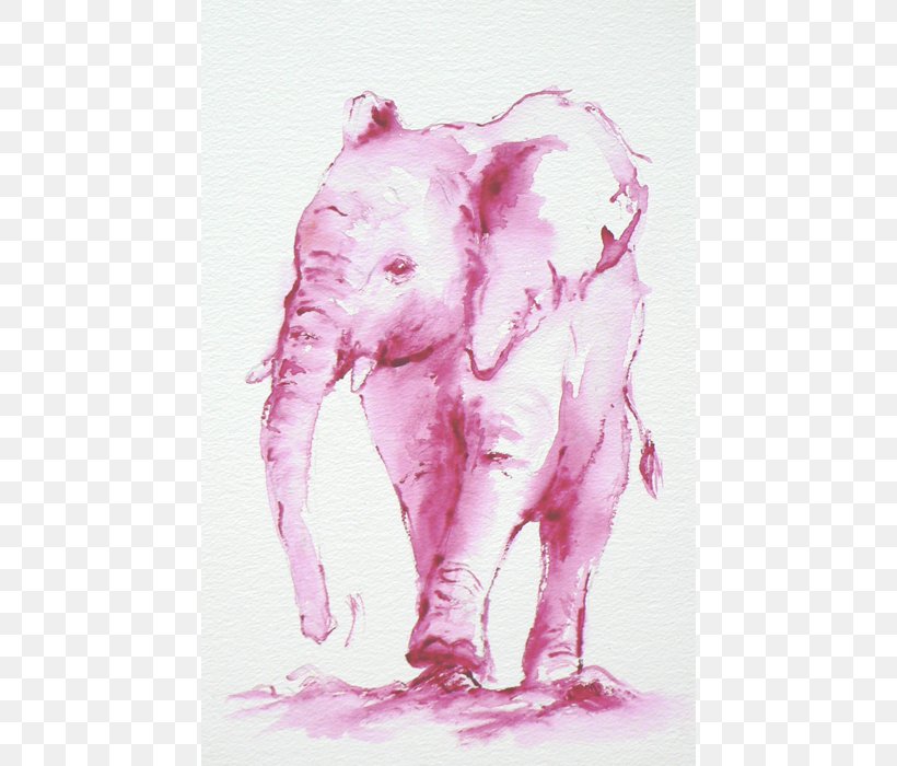 Indian Elephant African Elephant Watercolor Painting Drawing Pink M, PNG, 700x700px, Indian Elephant, African Elephant, Animal, Drawing, Elephant Download Free