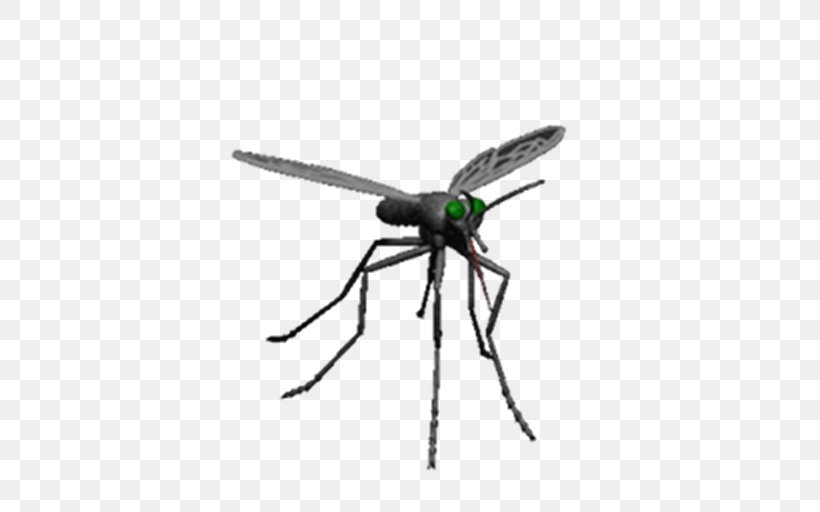 Mosquito Control Insect Pest Control, PNG, 512x512px, Mosquito, Arthropod, Dengue, Fly, Gfycat Download Free