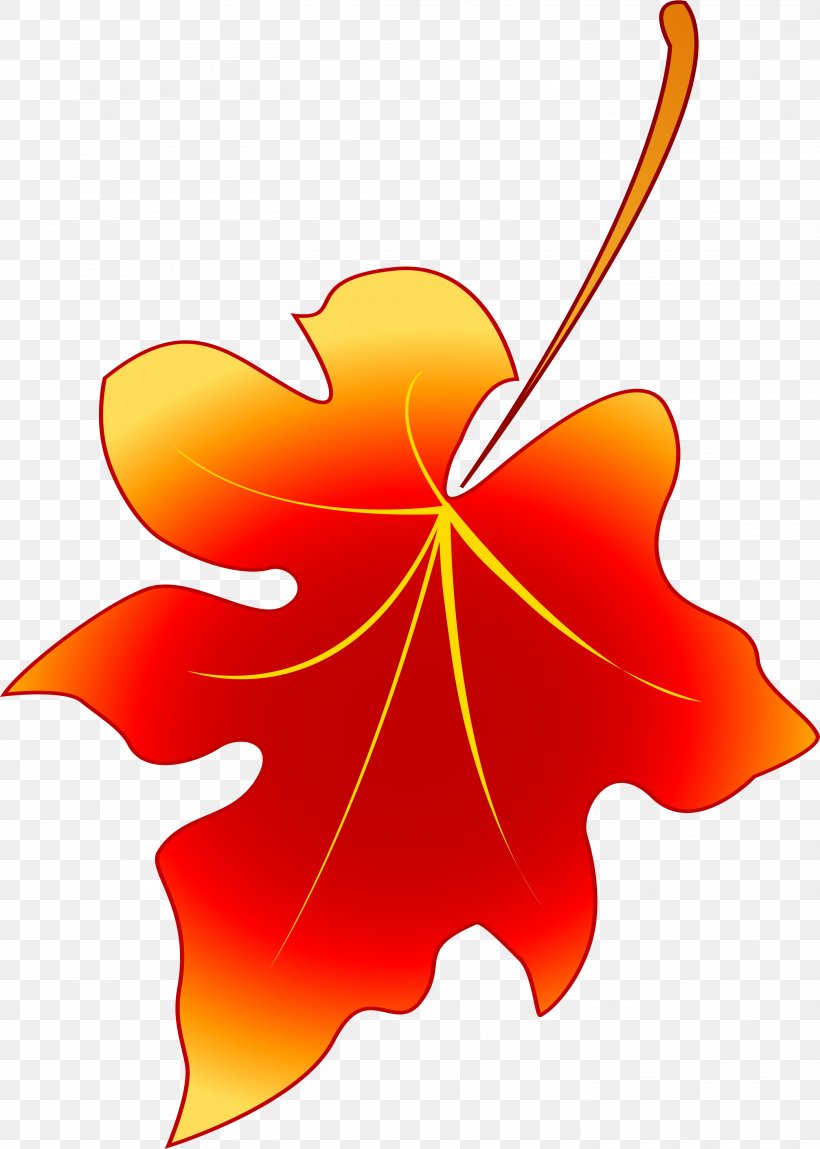 Stencil Leaf Petal Flower, PNG, 2906x4074px, Stencil, Flower, Flowering Plant, Leaf, Maple Download Free