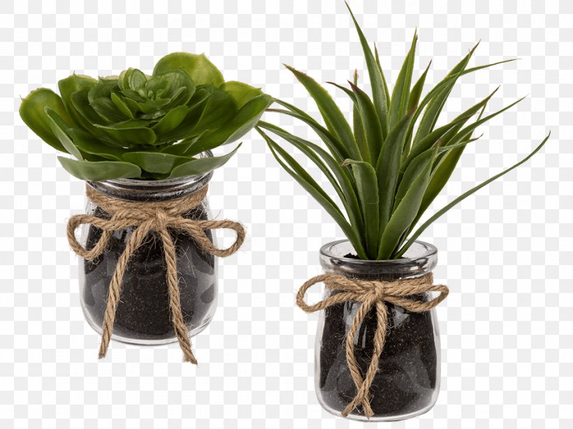 Succulent Plant Artificial Flower Glass Ceramic, PNG, 945x709px, Succulent Plant, Artificial Flower, Birthday, Cactaceae, Candle Download Free