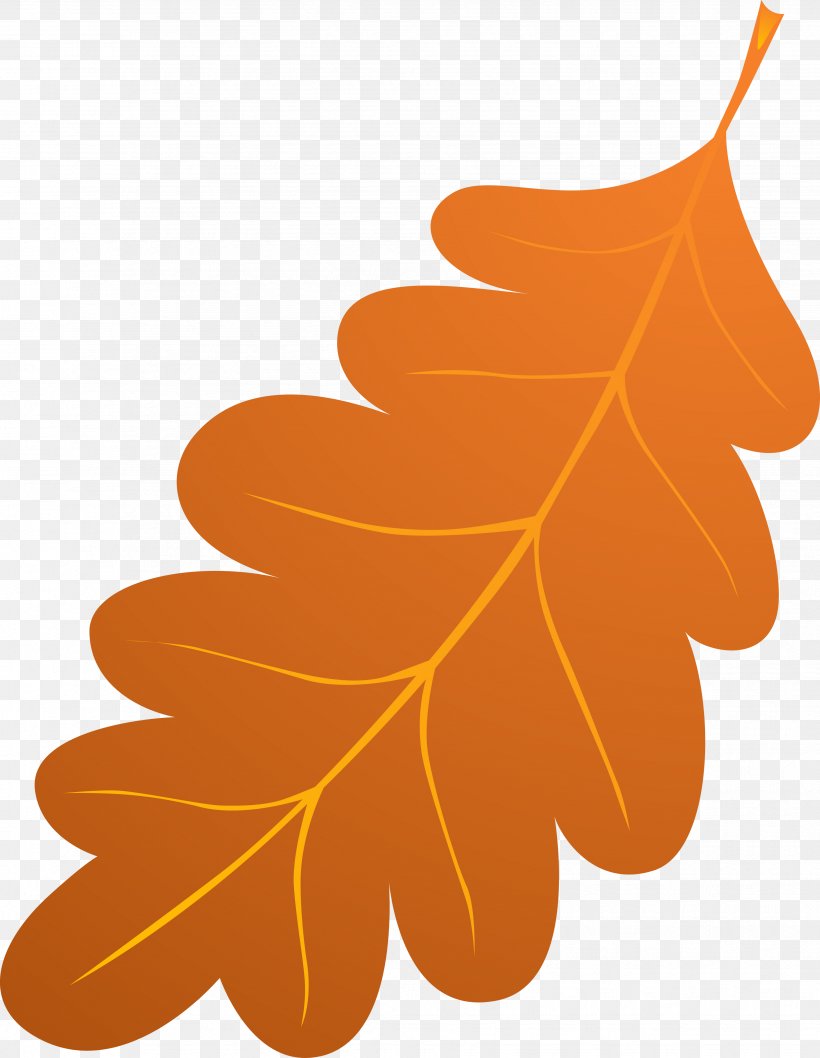 Clip Art Leaf Image, PNG, 3467x4475px, Leaf, Drawing, Oak, Orange, Plant Download Free