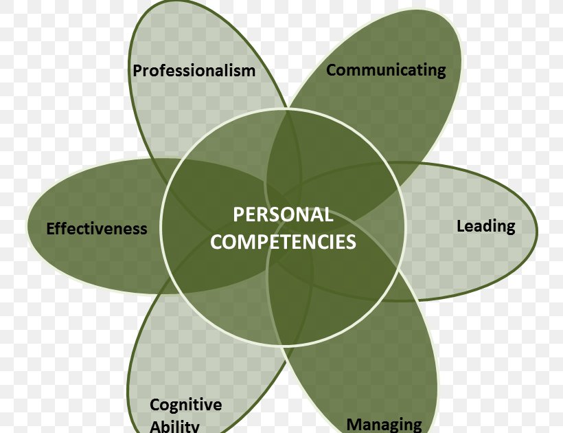 Competence Project Management Skill Projet, PNG, 748x630px, Competence, Communication, Curriculum Vitae, Diagram, Executive Manager Download Free