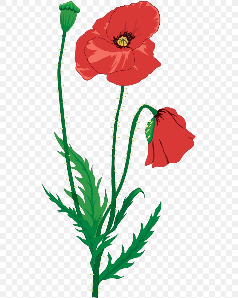 In Flanders Fields Common Poppy Clip Art, PNG, 533x1024px, In Flanders Fields, Armistice Day, Art, Artwork, Common Poppy Download Free