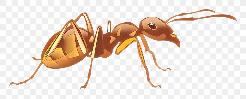 Ant Cartoon, PNG, 2399x977px, Cartoon, Ant, Antman, Bee, Beetle Download Free