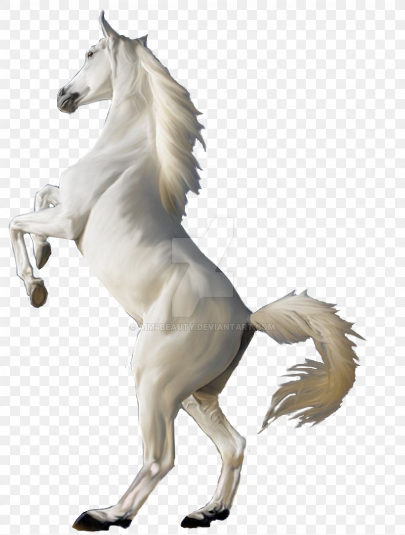 Mustang Desktop Wallpaper White Clip Art, PNG, 1024x1350px, Mustang, Animal Figure, Display Resolution, Foal, Horse Download Free