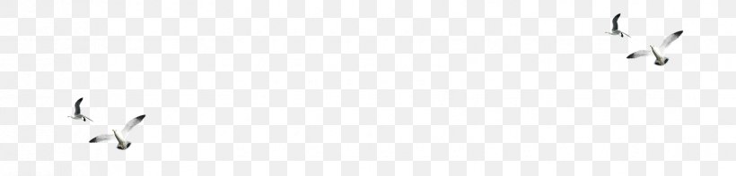 Paper White Graphic Design Pattern, PNG, 1710x412px, Paper, Black, Black And White, Brand, Computer Download Free