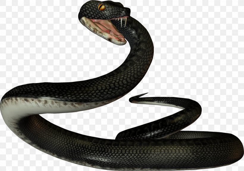 Snake Reptile Vipers Ahaetulla Prasina, PNG, 1449x1019px, Snake, Ahaetulla, Ahaetulla Prasina, Elapidae, Kingsnake Download Free