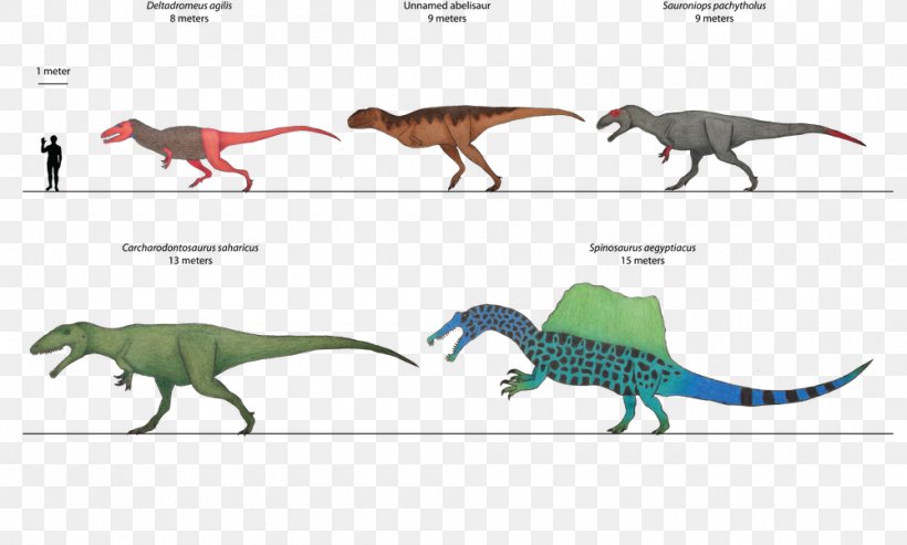 Velociraptor Tyrannosaurus, PNG, 1000x602px, Velociraptor, Animal, Animal Figure, Dinosaur, Fauna Download Free