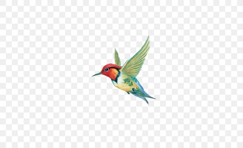 Hummingbird Illustration Adobe Photoshop, PNG, 500x500px, Bird, Beak, Cdr, Coraciiformes, Fauna Download Free