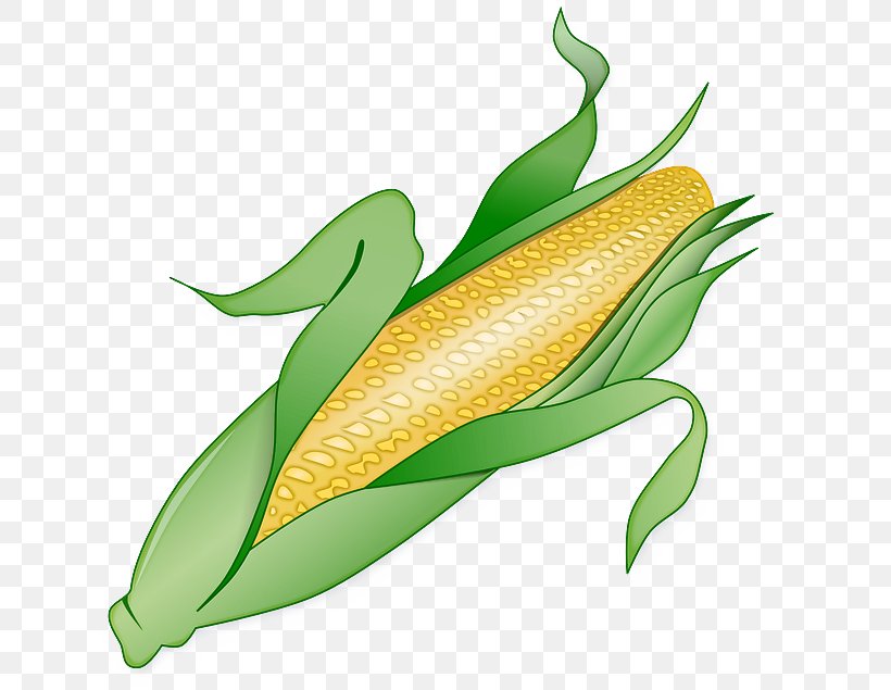 Leaf Corn On The Cob Plant Vegetarian Food Corn, PNG, 640x635px, Leaf, Anthurium, Corn, Corn On The Cob, Flower Download Free
