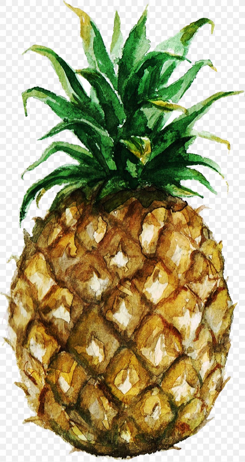 Pineapple Watercolor Painting Royalty-free Stock Photography, PNG, 1104x2075px, Pineapple, Ananas, Art, Bromeliaceae, Depositphotos Download Free