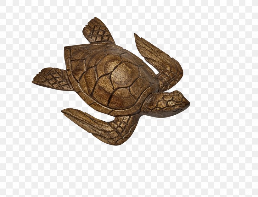 Box Turtle Sea Turtle Tortoise Wood, PNG, 1437x1100px, Box Turtle, Animal, Emydidae, Reptile, Sea Turtle Download Free