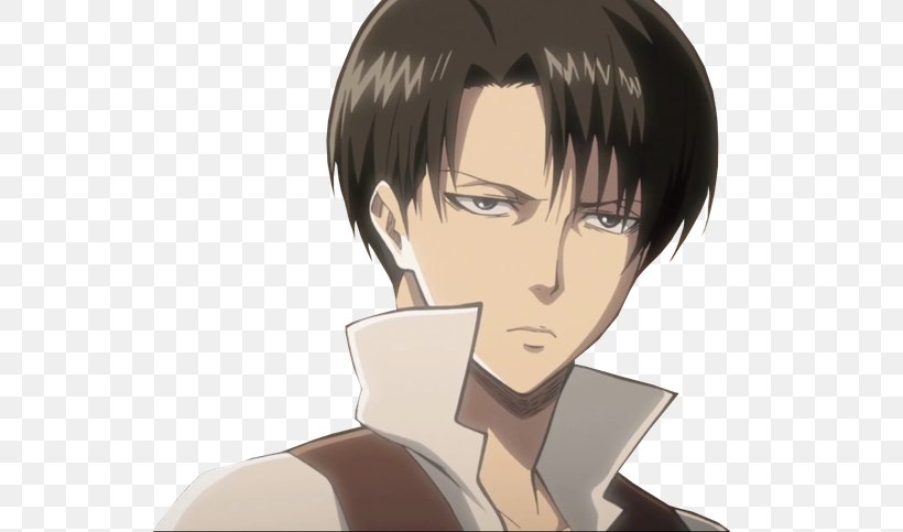 Eren Yeager Attack On Titan: No Regrets Levi Original Video Animation, PNG,  610x483px, Watercolor, Cartoon, Flower,