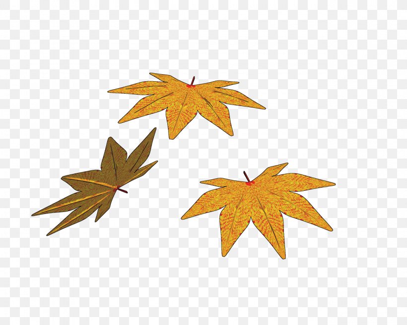 Maple Leaf, PNG, 1280x1024px, Maple Leaf, Leaf, Maple, Tree Download Free