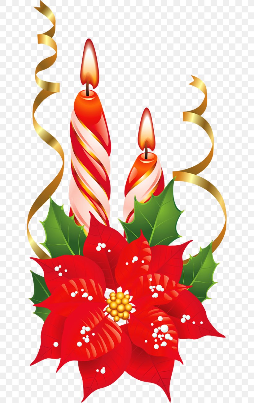 Poinsettia Christmas Flower Clip Art, PNG, 645x1298px, Poinsettia, Art,  Branch, Candle, Candy Cane Download Free