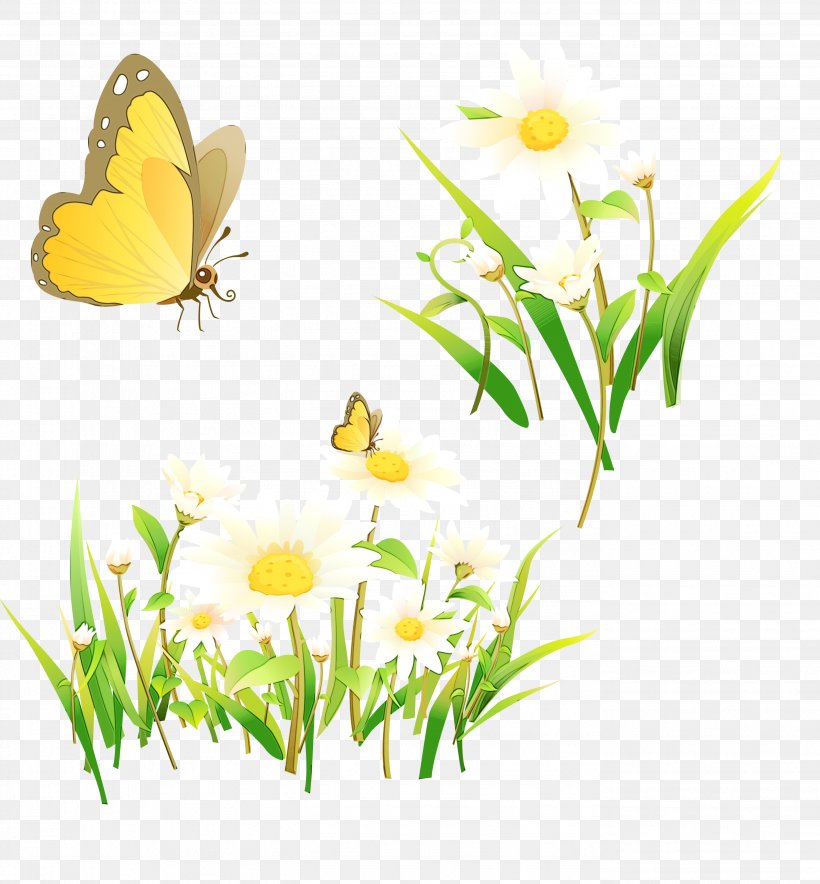 Watercolor Flower Background, PNG, 2782x3000px, Watercolor, Brushfooted Butterflies, Butterfly, Chamomile, Flower Download Free