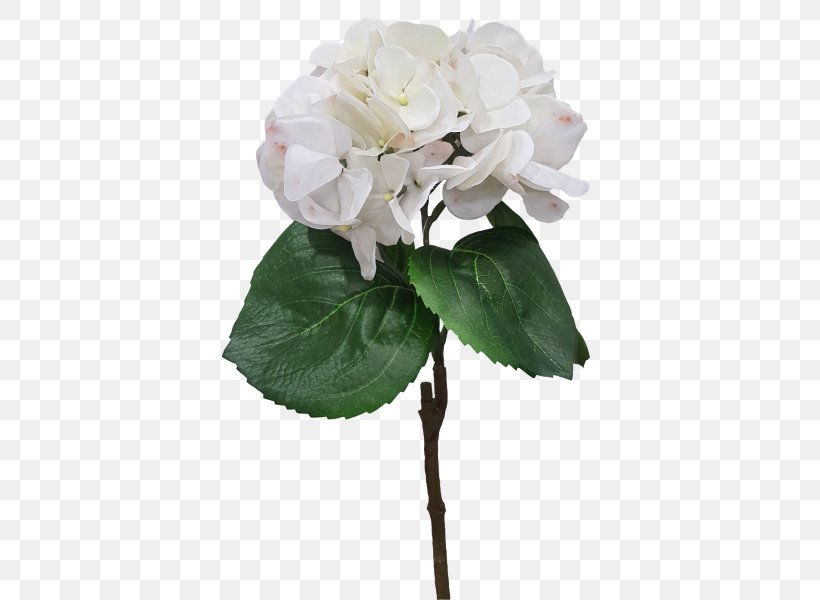 Cabbage Rose Cut Flowers Flower Bouquet Plant Stem, PNG, 800x600px, Cabbage Rose, Artificial Flower, Cornales, Cushion, Cut Flowers Download Free