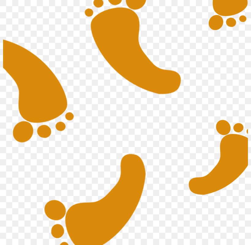 Clip Art, PNG, 800x800px, Footprint, Area, Computer Graphics, Orange, Painting Download Free
