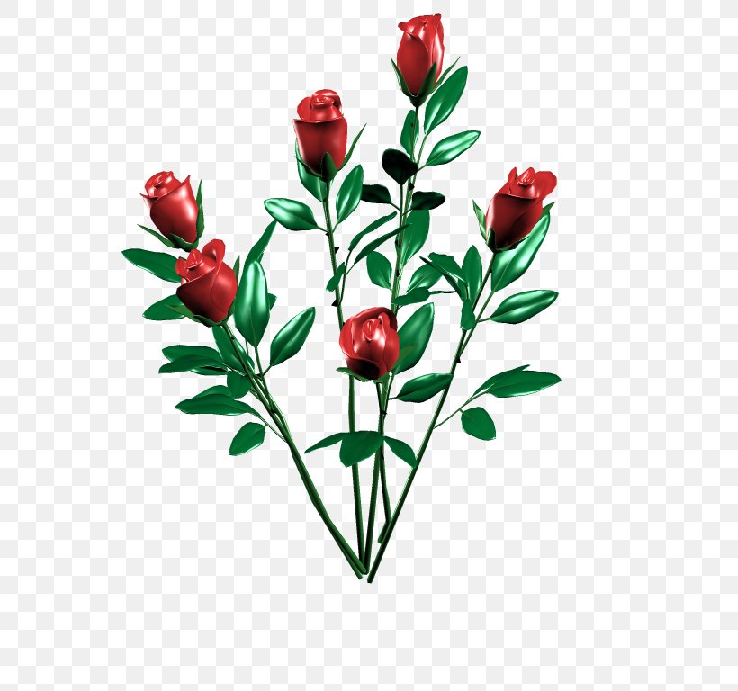 Cut Flowers Rosa × Alba Rose Family Floral Design, PNG, 800x768px, Cut Flowers, Branch, Bud, Designer, Floral Design Download Free