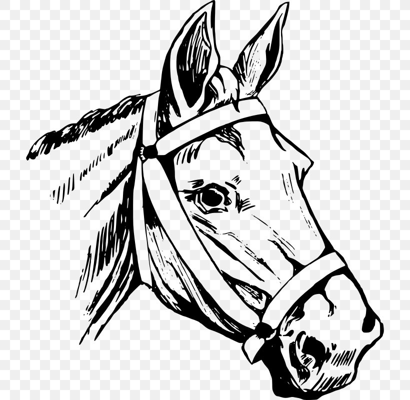 Horse Head Mask Equestrian Clip Art, PNG, 716x800px, Horse, Art, Artwork, Black, Black And White Download Free