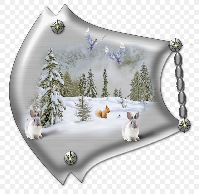Image Winter Desktop Wallpaper GIF, PNG, 800x800px, Winter, Blog, Christmas Day, Christmas Eve, Christmas Ornament Download Free