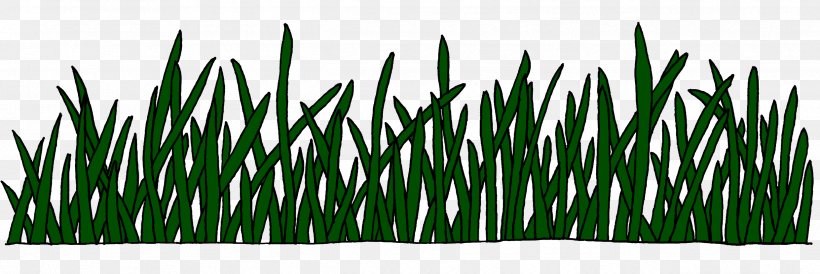 Sweet Grass Vetiver Commodity Wheatgrass Chrysopogon, PNG, 2482x831px, Sweet Grass, Chrysopogon, Chrysopogon Zizanioides, Commodity, Grass Download Free