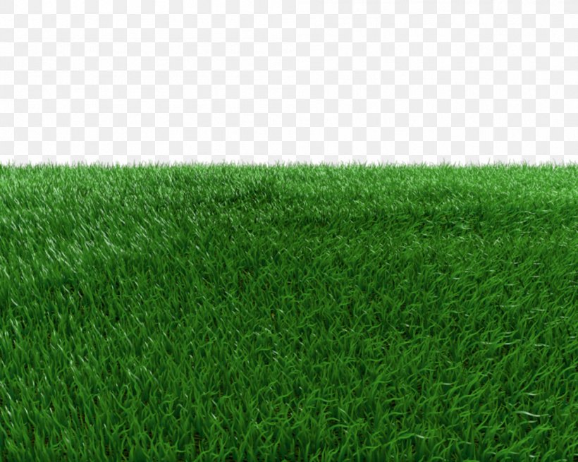 Artificial Turf Green Meadow Grasses, PNG, 999x799px, Artificial Turf, Field, Grass, Grass Family, Grasses Download Free