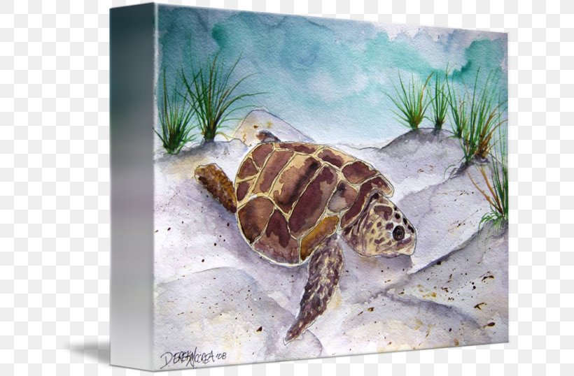 Loggerhead Sea Turtle Watercolor Painting, PNG, 650x538px, Loggerhead Sea Turtle, Art, Art Museum, Artist, Drawing Download Free