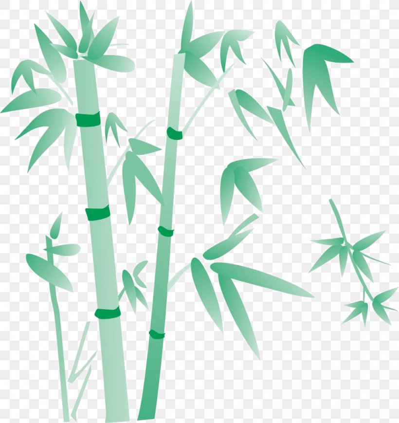 Bamboo Giant Panda Green Plant, PNG, 1013x1074px, Bamboo, Bambusa Oldhamii, Branch, Color, Creative Work Download Free