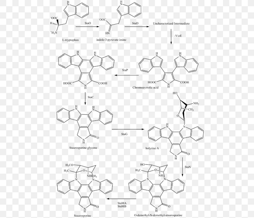 Staurosporine Midostaurin Chemical Synthesis Pharmaceutical Drug Semisynthesis, PNG, 500x703px, Staurosporine, Acute Myeloid Leukemia, Alkaloid, Area, Black And White Download Free