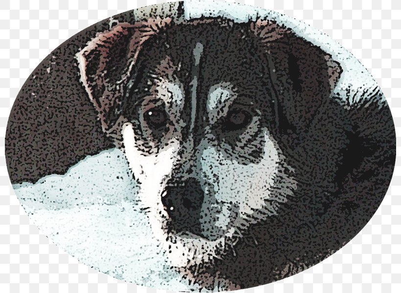 Dog Breed Puppy Episode 187 Litter, PNG, 800x600px, Dog Breed, Alaska, Brain, Breed, Carnivoran Download Free